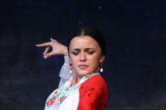Flamenco-dancers-15