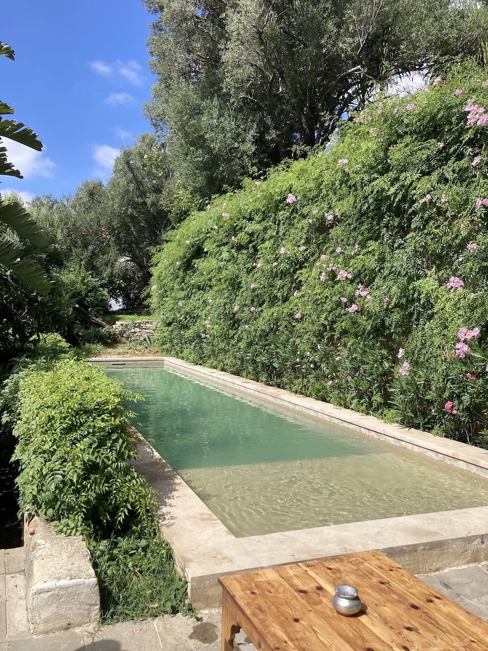 Tangier pool and gardens at Mimi Calpe 2021